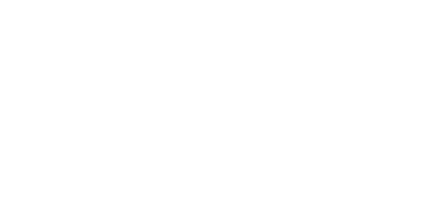 Evoplay 파트너 1 logo