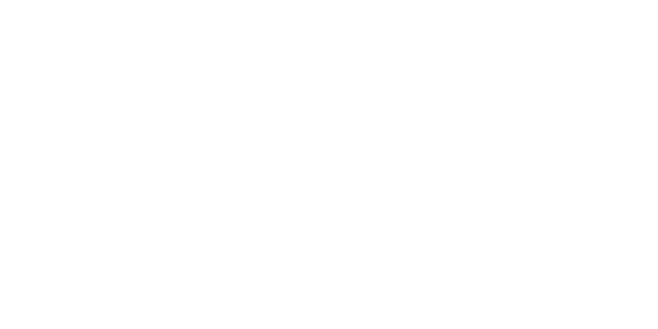 Evoplay 파트너 4 logo