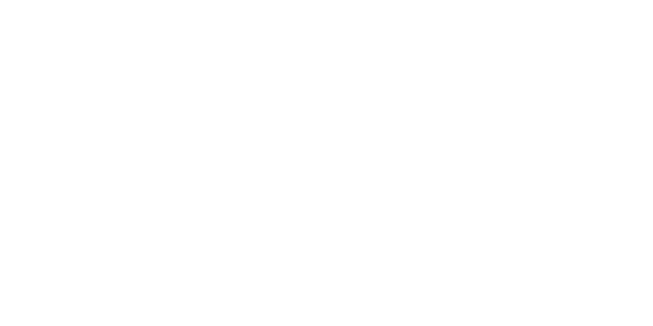 Evoplay 파트너 3 logo