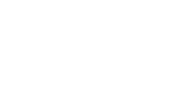 Evoplay 파트너 2 logo